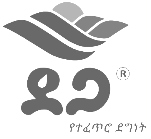 output-onlinejpgtools__12_-removebg-preview